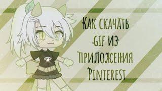 Туториал  Как скачать GIF из приложения Pinterest  Wisteria