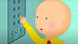 Caillou and the Elevator  Funny Animated Caillou  Cartoons for kids  Caillou