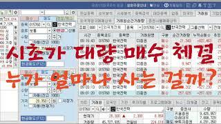 시초가 외국인 외국계 대량 매수 체결 종목 찾기