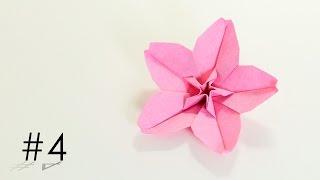 Origami Cherry Blossom - Hoa Anh đào Hoang Tien Quyet