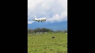 Pesawat TRI MG Landing di Bandara Wamena Papua
