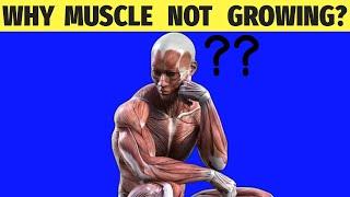 Reasons Why Your Muscles Are NOT Growing And How To Fix It