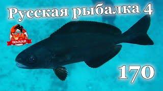 Русская рыбалка 4 170 банка Палтус синекорый