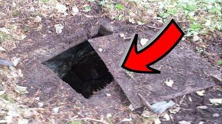 Man Finds Gold Mine on Property Goes in and Realizes Hes Made a Huge Mistake