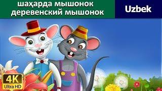 Town Mouse & Country Mouse in Uzbek  узбек мультфильм - узбек эртаклари  Uzbek Fairy Tales