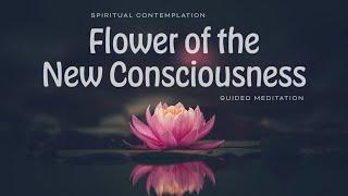 Contemplation Flower of the New Consciousness