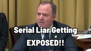 Schiff LOSES HIS MIND Witness Has Perfect Response To His Despicable Accusations..Lies EXPOSED