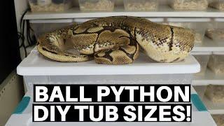 Best Ball Python Tubs For DIY Snake Racks - Benjamins Exotics