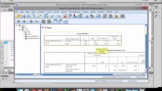 Independent Samples T Test in SPSS