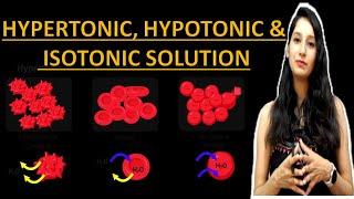 Hypertonic Hypotonic and Isotonic Solutions I Tonicity I CSIRNET NEET IITJAM CLASS 11 DBT ICAR ICMR