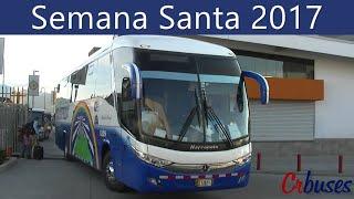 Movimiento de autobuses #16 - Semana Santa 2017