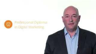 ProvenMentor - Professional Diploma in Digital Marketing