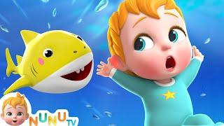Baby Shark Song  Nursery Rhymes & Kids Songs  NuNu Tv Baby Songs