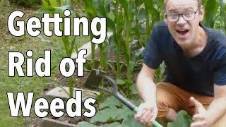 Getting Rid of Weeds