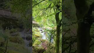 Triberg waterfalls