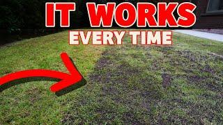 The secret to a thick lawn starts here  Beginner lawn care tricks