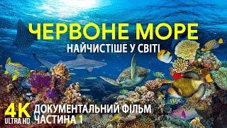 Червоне море - найтепліше та найчистіше на планеті  Документальний фільм про підводні глибини - #1