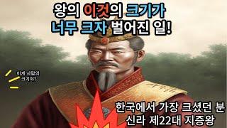 이야기 신라 제22대 지증왕 한국에서 물건이 가장 컸던 분