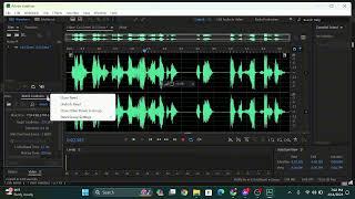 VOICEOVER  ADOBE AUDITION  PROGRAM INTRO