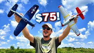 World’s CHEAPEST BEST RC Plane 2023