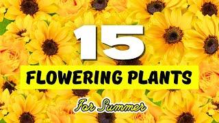 Top 15 BEST Flowering Plants To Grow at Home In Summer 