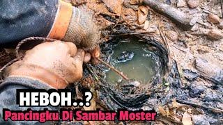 HEBOH‼️umpan Pancingku Di Sambar Belut Moster