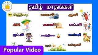 தமிழ் மாதங்கள் - Learn Tamil month names for Kids and Children  Tamil mathangal Tamilarasi