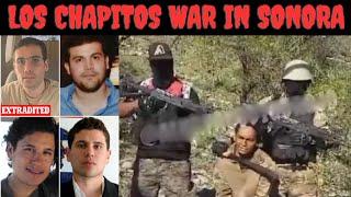 Los Chapitos War Is Heating Up In Sonora  Video Released Depicting The Evisceration Of A Captive