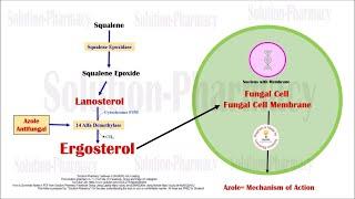 Topic 62 Antifungal Drugs = Azole Mechanism of Action  Azole Antifungal Drugs  Antifungal