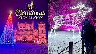 Christmas At Wollaton Hall In Nottingham - Magical Festive Light Trail