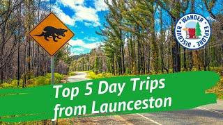  Top 5 Day Trips from Launceston  Discover Tasmania