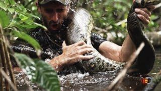 Eaten Alive Sneak Peek  Sun Dec 7 98c on Discovery