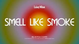 Lainey Wilson - Smell Like Smoke Official Audio