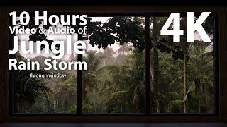 4K HDR 10 hours - Jungle Rain Storm - relaxation calming ambient mindfulness