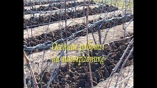 Осенние работы на винограднике