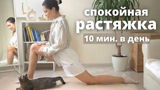 Daily soft stretching in 10 minutes calm stretching