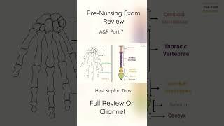 Pre-Nursing Exam Review Anatomy Physiology Part 7