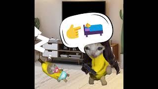 BANANA CAT  BROS - THIEF DOG OF THE NIGHT  part5  #catmemes #cat #bananacat #shorts #fyp