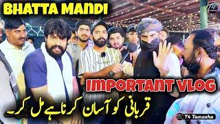 Qurbani ko Aasan krna hy  Bhatta Mandi Last Night - Bakra Mandi 2024 - Fateh Jang bull 2024 - live