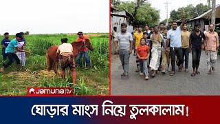 পাবনায় ঘোড়ার মাংস খেয়ে এলাকা ছাড়া একদল যুবক  Horse Meat  Jamuna TV