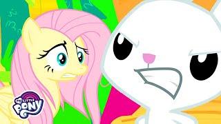 My Little Pony  Fluttershys and Angel Bunnys Relationship She Talks to Angel  MLP FiM