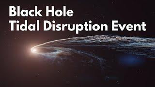 Black Hole Tidal Disruption Event Animation