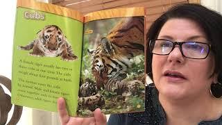 Story Read Aloud Tigers Nonfiction