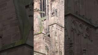 #strasbourg #cathedrale #travel #alsace #architecture #cathedral #gothic #tourisme