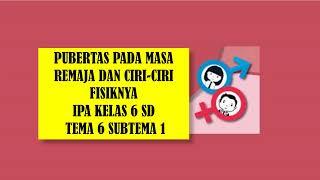 PUBERTAS PADA MASA REMAJA DAN CIRI-CIRI FISIKNYA IPA KELAS 6 SD  TEMA 6 SUBTEMA 1