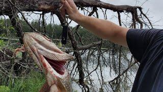 Overnight Fish Camp on The Tent lake. Beautiful camp. Nice fish.