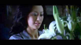 《桃色 Color Blossoms 》章小蕙，河莉秀，吴嘉龙，横内晶主演的电影（三级片）