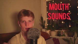 ASMR  mouth sounds & fluffy mic cover100% sleep