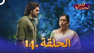 مسلسل هندي قلبي المجنون الحلقة 14