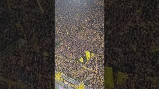 Südtribüne Dortmund vs 1. FC Heidenheim 13.09.2024